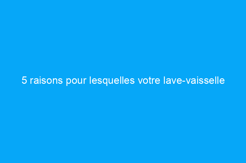 5 raisons pour lesquelles votre lave-vaisselle fuit (et comment le réparer)