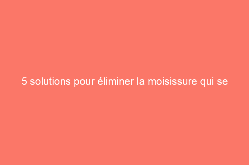 5 solutions pour éliminer la moisissure qui se cache dans votre machine à laver