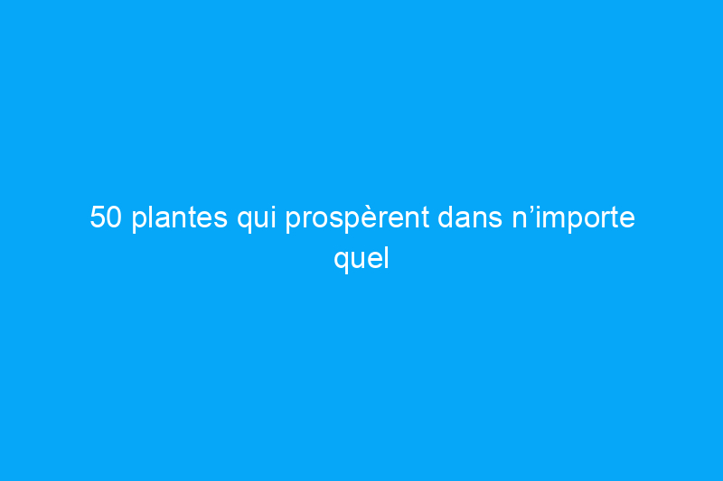 50 plantes qui prospèrent dans n’importe quel jardin