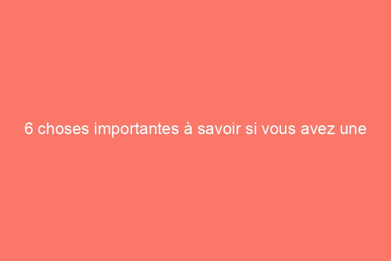 6 choses importantes à savoir si vous avez une nuisance attrayante sur votre propriété 