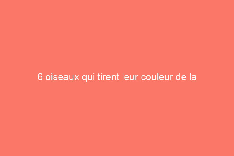 6 oiseaux qui tirent leur couleur de la nourriture qu'ils mangent et quoi leur donner à manger