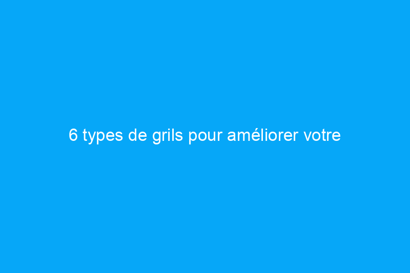 6 types de grils pour améliorer votre expérience de barbecue