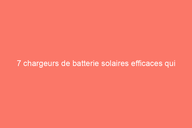 7 chargeurs de batterie solaires efficaces qui alimenteront vos gadgets grâce à la lumière du soleil