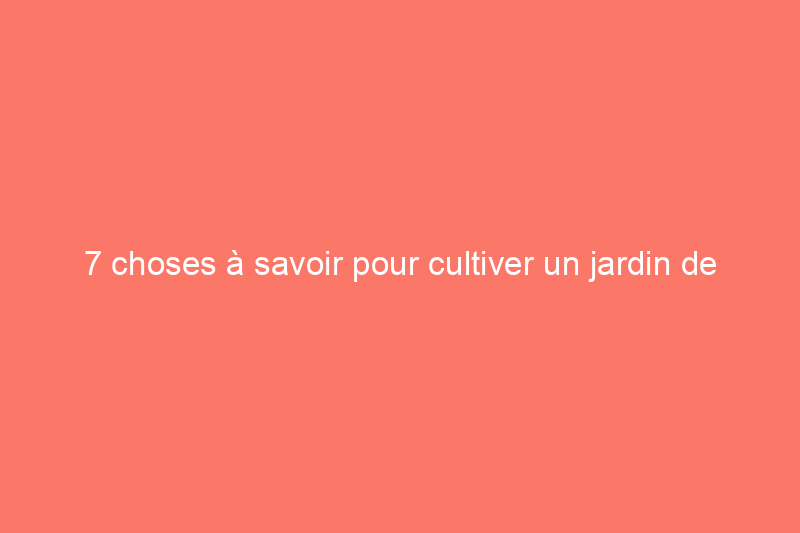 7 choses à savoir pour cultiver un jardin de fleurs sauvages