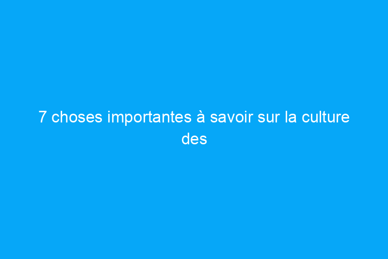 7 choses importantes à savoir sur la culture des herbes en extérieur