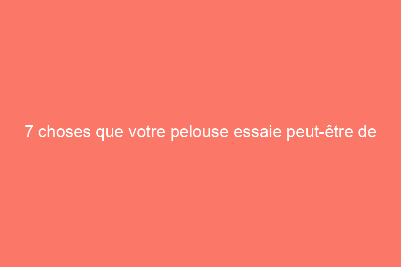 7 choses que votre pelouse essaie peut-être de vous dire