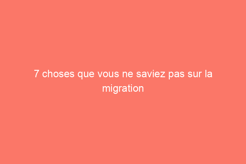 7 choses que vous ne saviez pas sur la migration annuelle du papillon monarque