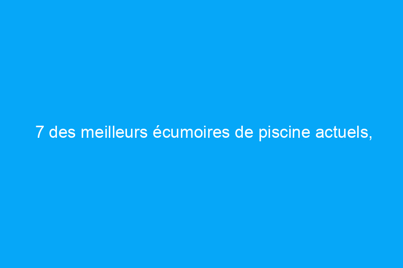 7 des meilleurs écumoires de piscine actuels, vérifiés