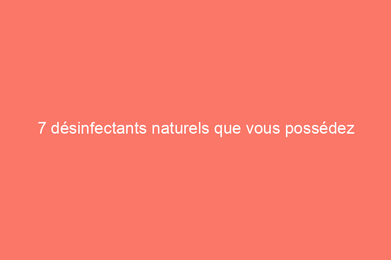 7 désinfectants naturels que vous possédez probablement déjà