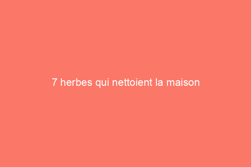 7 herbes qui nettoient la maison