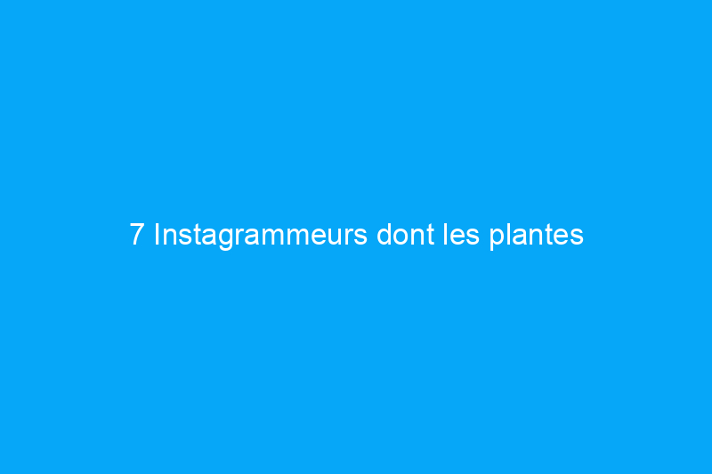 7 Instagrammeurs dont les plantes d'intérieur ont un public culte