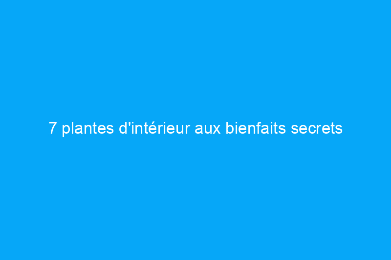 7 plantes d'intérieur aux bienfaits secrets pour la santé