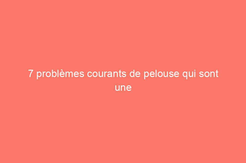 7 problèmes courants de pelouse qui sont une véritable plaie pour l'herbe