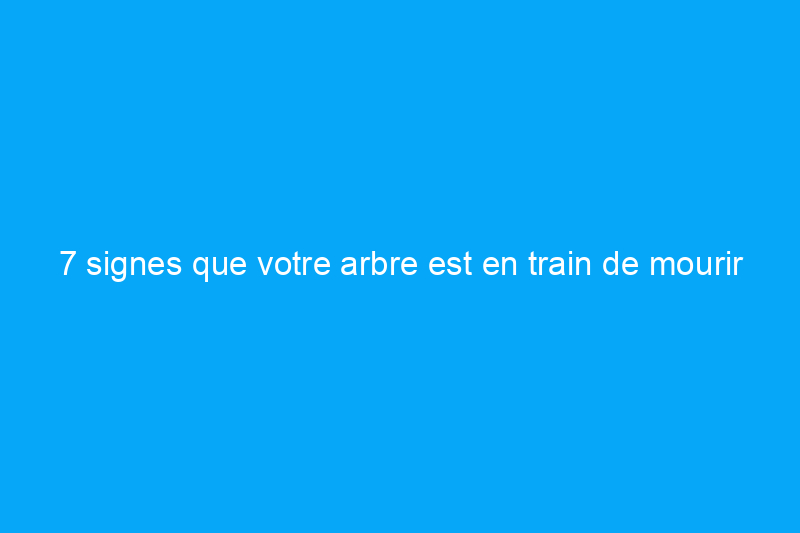 7 signes que votre arbre est en train de mourir et comment le sauver