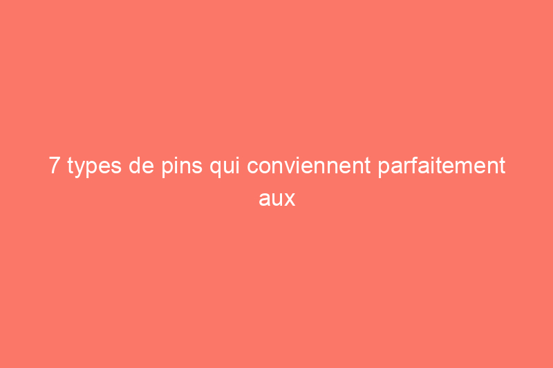 7 types de pins qui conviennent parfaitement aux aménagements paysagers de votre maison