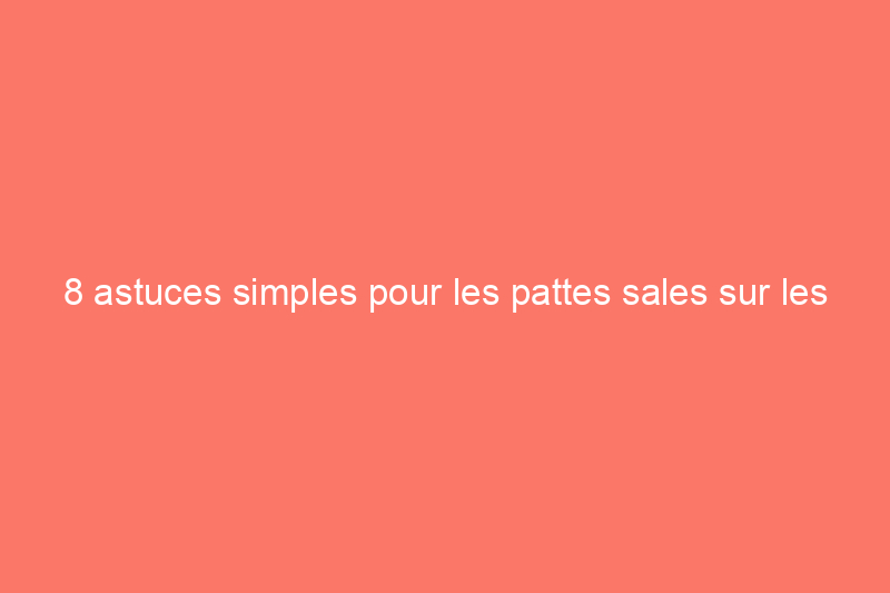 8 astuces simples pour les pattes sales sur les sols propres