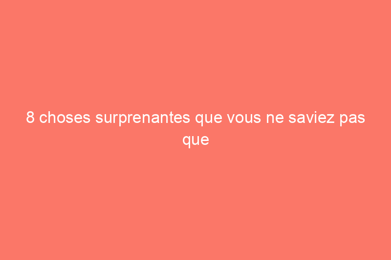 8 choses surprenantes que vous ne saviez pas que vous pouviez passer l'aspirateur