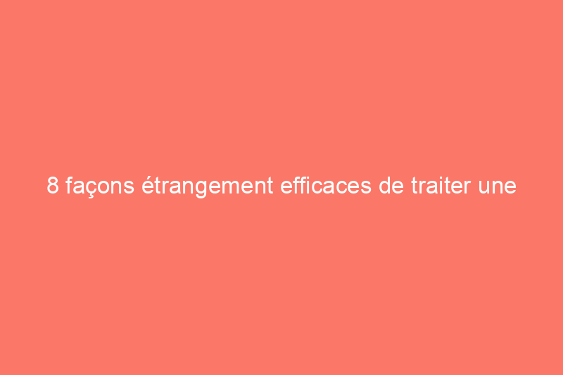 8 façons étrangement efficaces de traiter une piqûre d'insecte