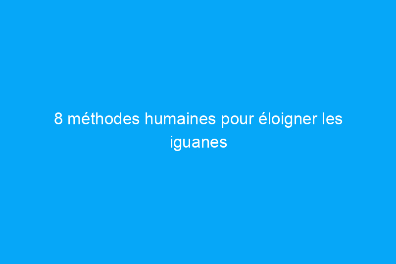 8 méthodes humaines pour éloigner les iguanes de votre jardin