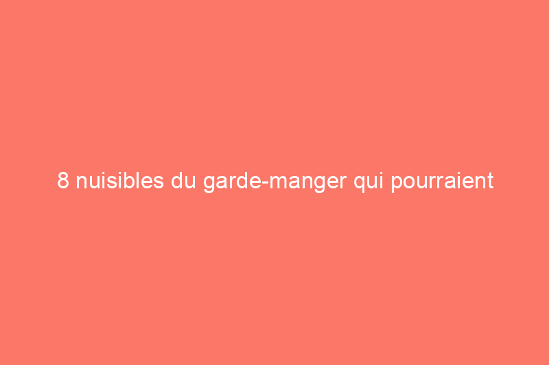 8 nuisibles du garde-manger qui pourraient envahir votre réserve de nourriture