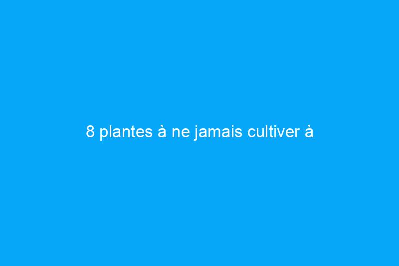 8 plantes à ne jamais cultiver à l'intérieur