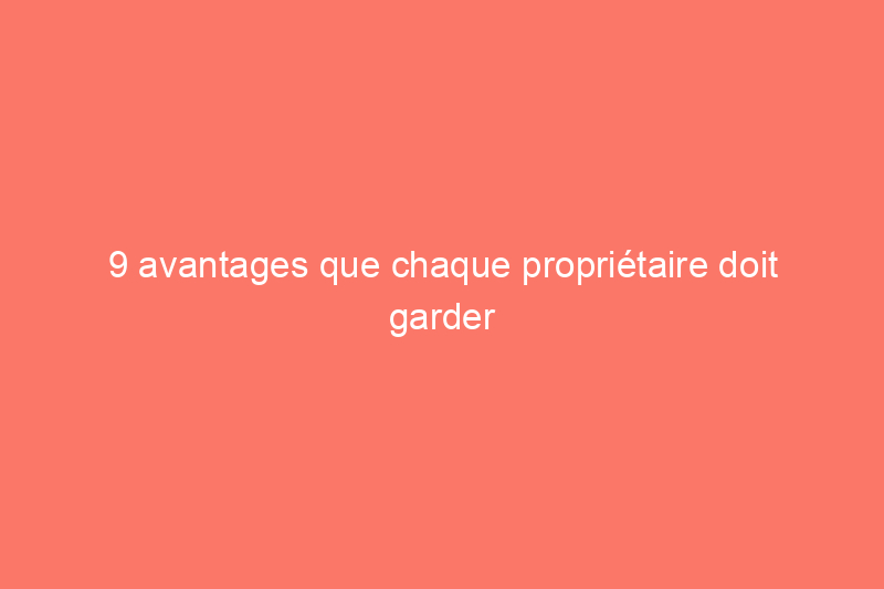 9 avantages que chaque propriétaire doit garder en mémoire