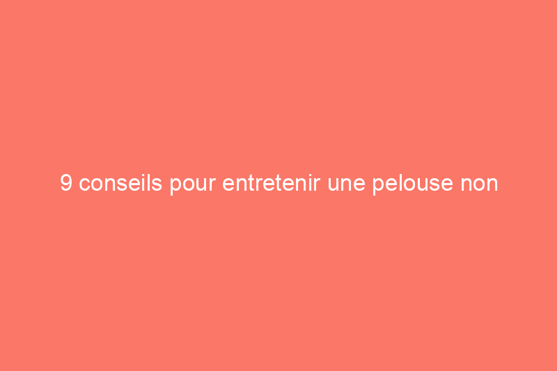 9 conseils pour entretenir une pelouse non traditionnelle