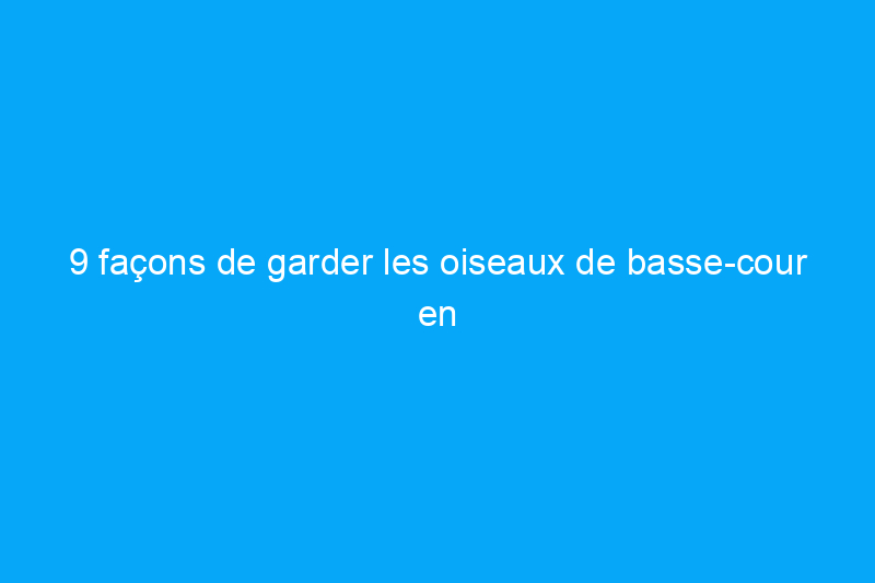 9 façons de garder les oiseaux de basse-cour en bonne santé et bien nourris cet hiver