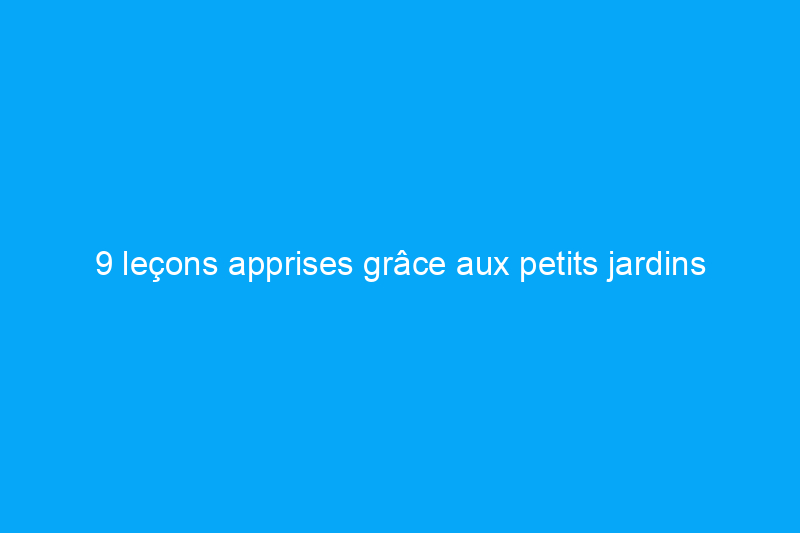 9 leçons apprises grâce aux petits jardins