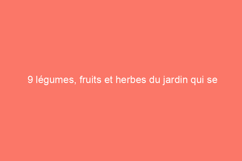 9 légumes, fruits et herbes du jardin qui se conservent bien au congélateur