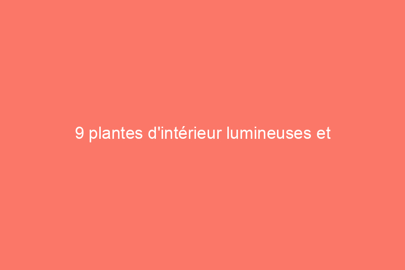 9 plantes d'intérieur lumineuses et colorées que vous ne pouvez pas tuer