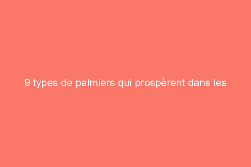 9 types de palmiers qui prospèrent dans les climats chauds et ensoleillés