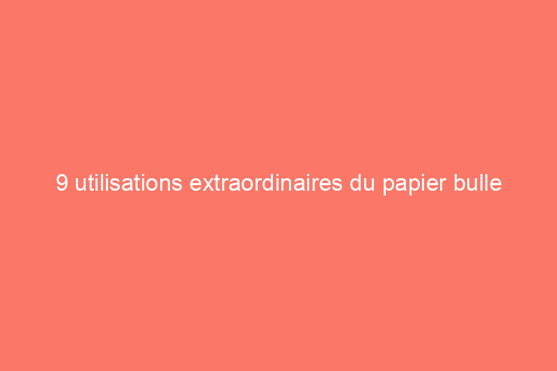 9 utilisations extraordinaires du papier bulle