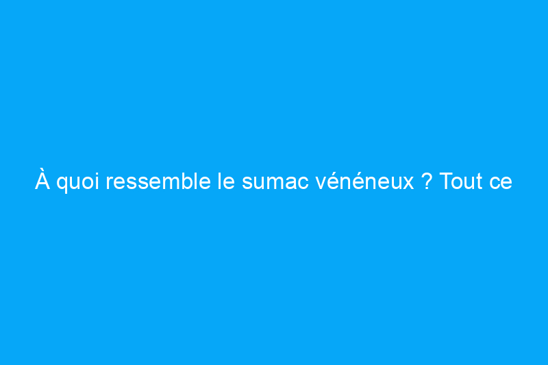 À quoi ressemble le sumac vénéneux ? Tout ce que vous devez savoir pour identifier le sumac vénéneux