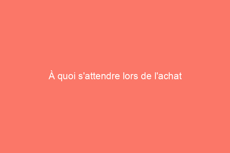 À quoi s'attendre lors de l'achat d'une maison en espèces