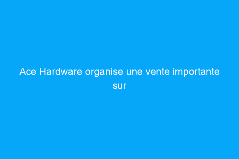 Ace Hardware organise une vente importante sur les grils Traeger – jusqu'à $300 de réduction