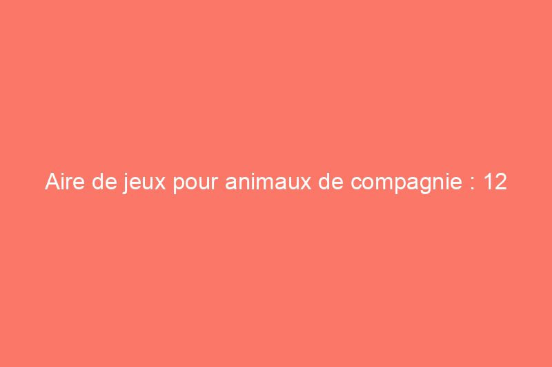 Aire de jeux pour animaux de compagnie : 12 façons simples de rendre votre terrasse adaptée aux animaux de compagnie