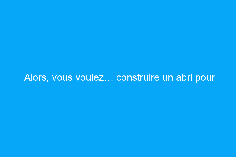 Alors, vous voulez… construire un abri pour voiture