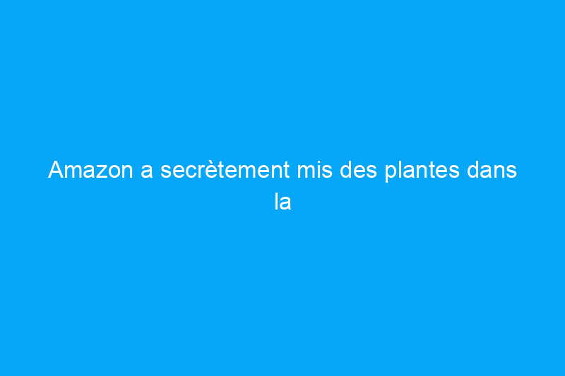 Amazon a secrètement mis des plantes dans la vente Prime Day 2023