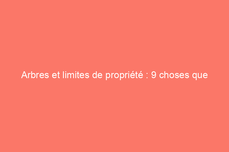 Arbres et limites de propriété : 9 choses que tous les voisins doivent savoir pour la saison des tempêtes