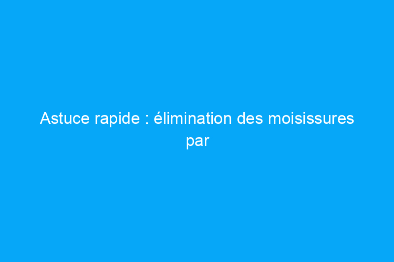 Astuce rapide : élimination des moisissures par vous-même