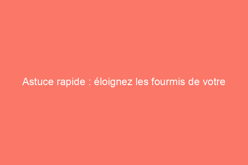 Astuce rapide : éloignez les fourmis de votre bac à sable