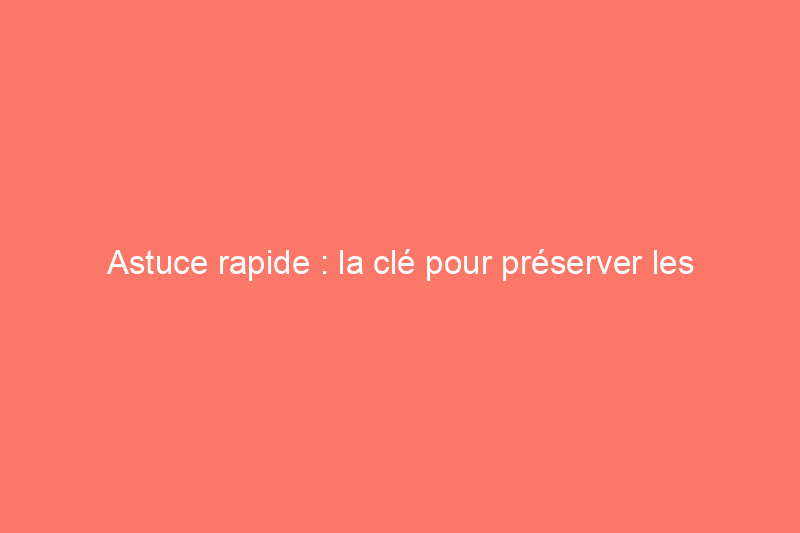 Astuce rapide : la clé pour préserver les rouleaux de peinture