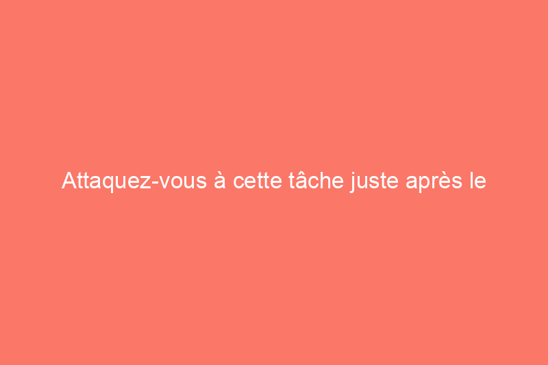 Attaquez-vous à cette tâche juste après le Nouvel An pour protéger votre propriété