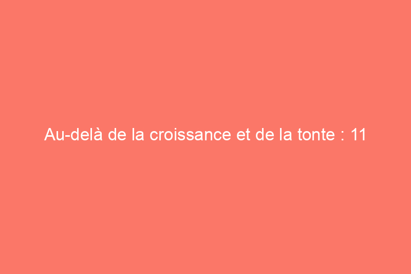 Au-delà de la croissance et de la tonte : 11 choses que vous ne saviez pas que votre paysagiste pouvait faire