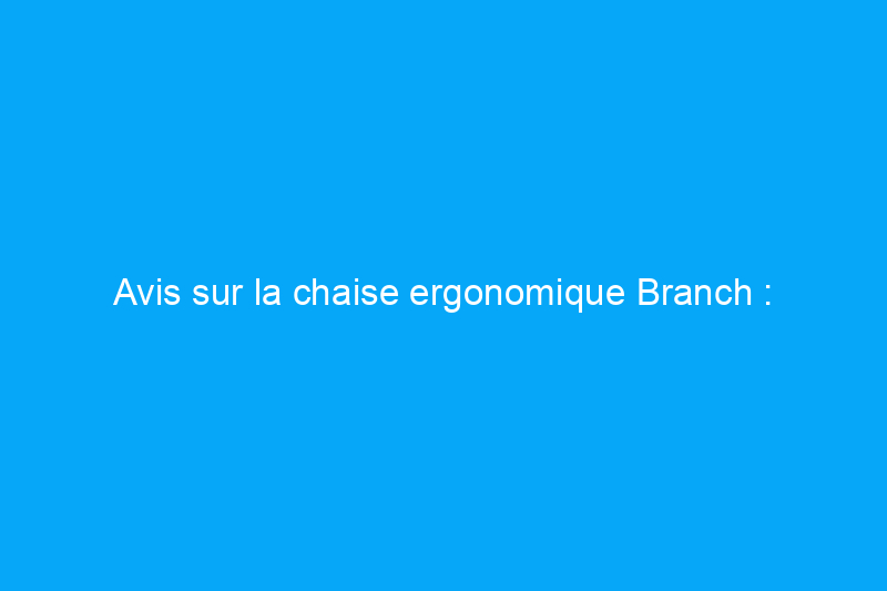 Avis sur la chaise ergonomique Branch : l’investissement en vaut-il la peine ?