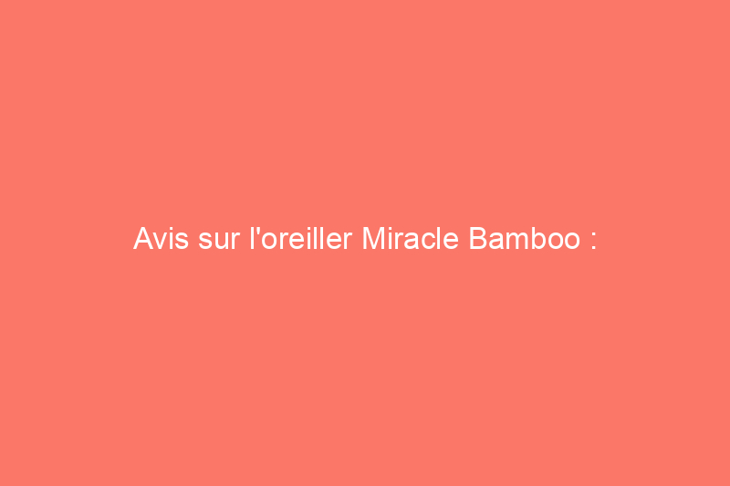 Avis sur l'oreiller Miracle Bamboo : ajustable et étonnamment rafraîchissant