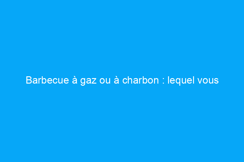 Barbecue à gaz ou à charbon : lequel vous convient le mieux ? 