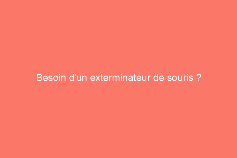 Besoin d'un exterminateur de souris ? Connaissez ces considérations financières avant d'embaucher