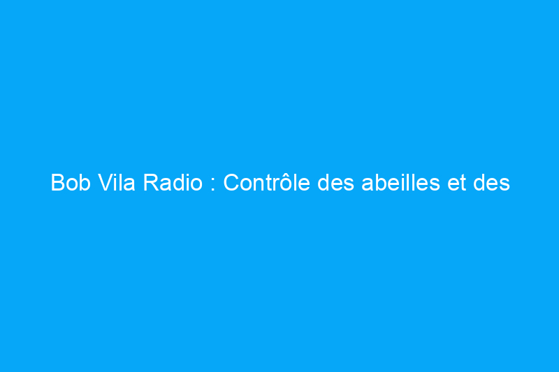 Bob Vila Radio : Contrôle des abeilles et des guêpes